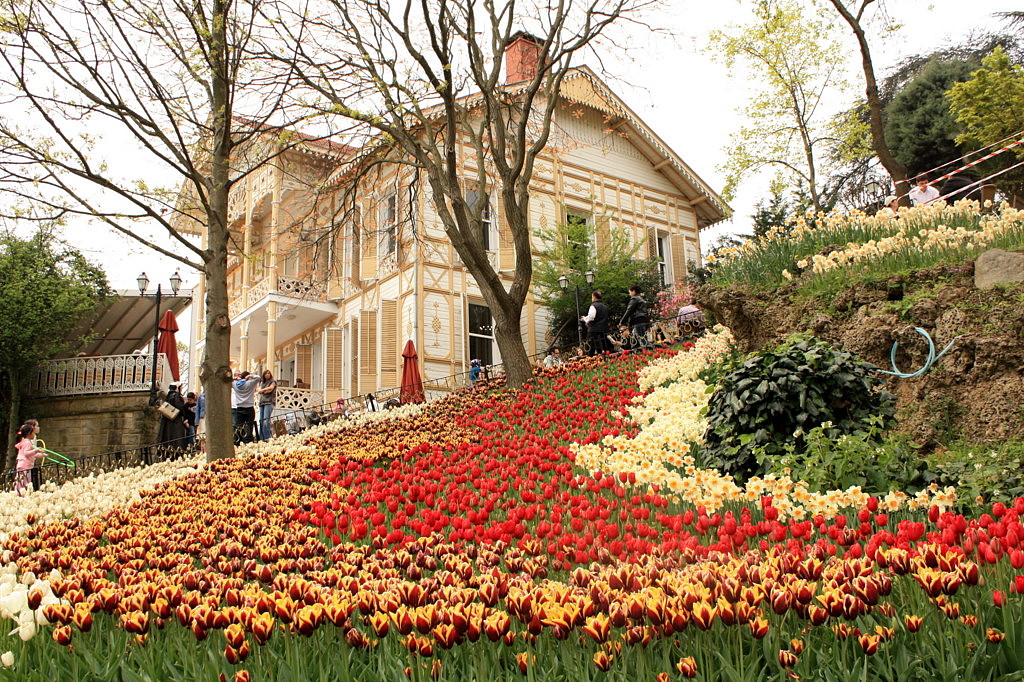 The tulip time in Istanbul